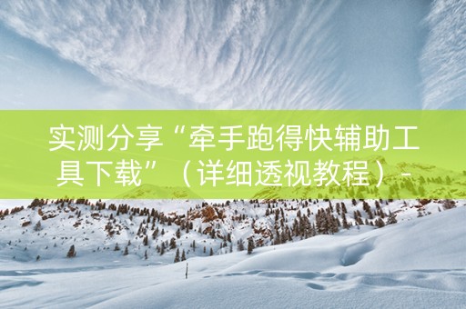 实测分享“牵手跑得快辅助工具下载”（详细透视教程）-哔哩哔哩