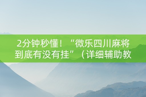 2分钟秒懂！“微乐四川麻将到底有没有挂”（详细辅助教程）-哔哩哔哩