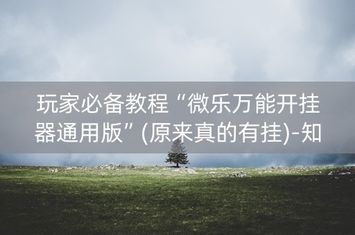 玩家必备教程“微乐万能开挂器通用版”(原来真的有挂)-知乎