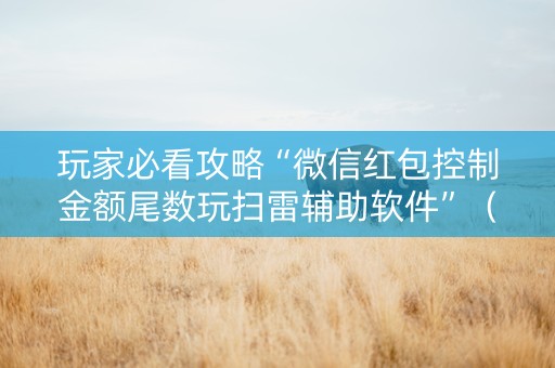 玩家必看攻略“微信红包控制金额尾数玩扫雷辅助软件”（详细透视教程）-哔哩哔哩