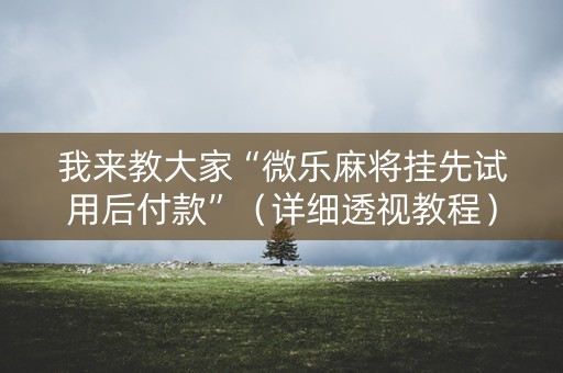 我来教大家“微乐麻将挂先试用后付款”（详细透视教程）-哔哩哔哩