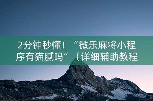 2分钟秒懂！“微乐麻将小程序有猫腻吗”（详细辅助教程）-哔哩哔哩