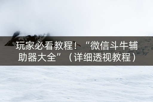 玩家必看教程！“微信斗牛辅助器大全”（详细透视教程）-哔哩哔哩