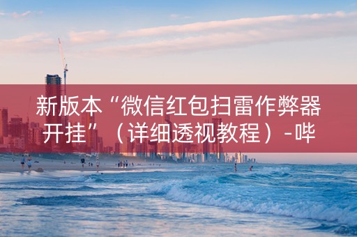 新版本“微信红包扫雷作弊器开挂”（详细透视教程）-哔哩哔哩
