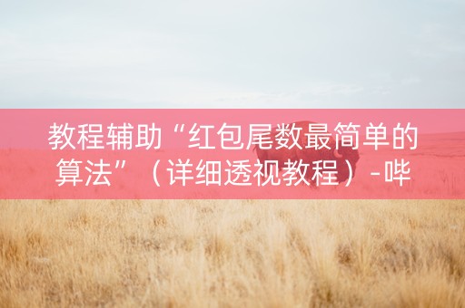 教程辅助“红包尾数最简单的算法”（详细透视教程）-哔哩哔哩