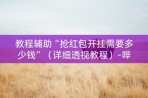 教程辅助“抢红包开挂需要多少钱”（详细透视教程）-哔哩哔哩