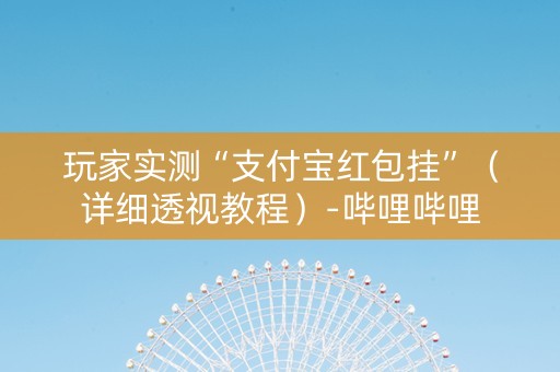 玩家实测“支付宝红包挂”（详细透视教程）-哔哩哔哩