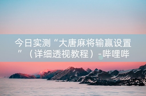 今日实测“大唐麻将输赢设置”（详细透视教程）-哔哩哔哩