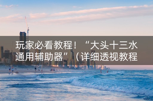 玩家必看教程！“大头十三水通用辅助器”（详细透视教程）-哔哩哔哩