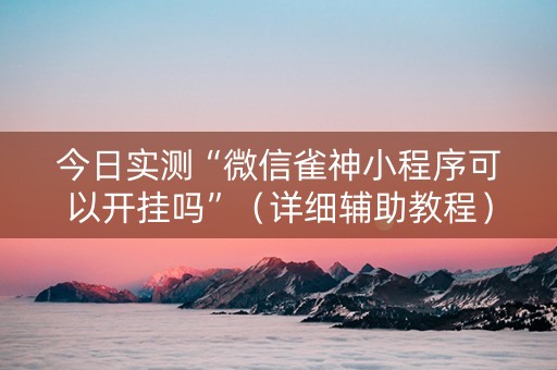 今日实测“微信雀神小程序可以开挂吗”（详细辅助教程）-哔哩哔哩