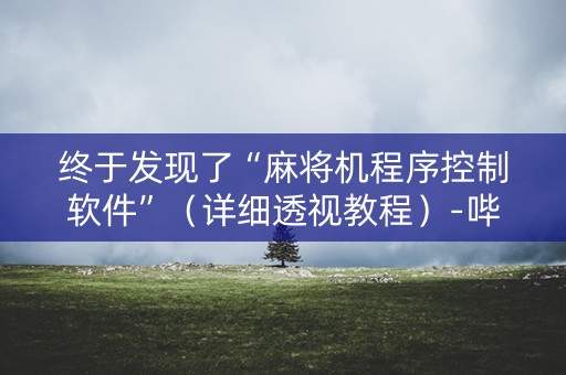 终于发现了“麻将机程序控制软件”（详细透视教程）-哔哩哔哩