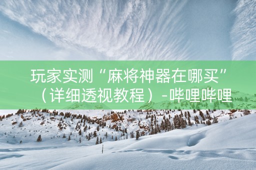 玩家实测“麻将神器在哪买”（详细透视教程）-哔哩哔哩