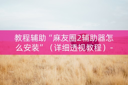 教程辅助“麻友圈2辅助器怎么安装”（详细透视教程）-哔哩哔哩