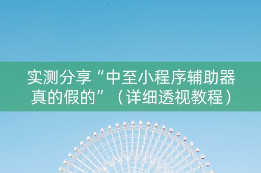 实测分享“中至小程序辅助器真的假的”（详细透视教程）-哔哩哔哩
