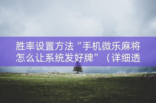 胜率设置方法“手机微乐麻将怎么让系统发好牌”（详细透视教程）-哔哩哔哩