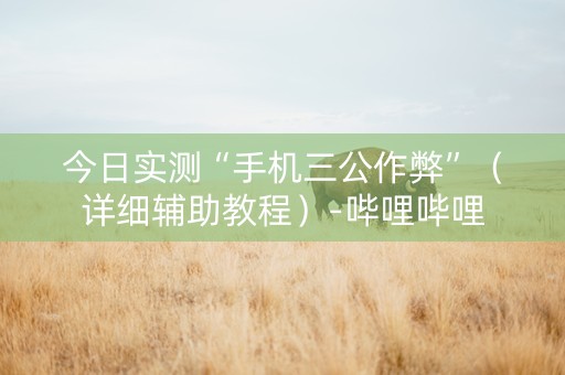 今日实测“手机三公作弊”（详细辅助教程）-哔哩哔哩