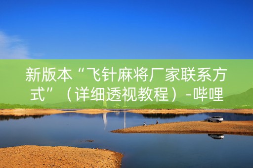 新版本“飞针麻将厂家联系方式”（详细透视教程）-哔哩哔哩