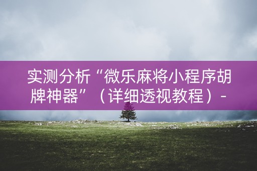 实测分析“微乐麻将小程序胡牌神器”（详细透视教程）-哔哩哔哩