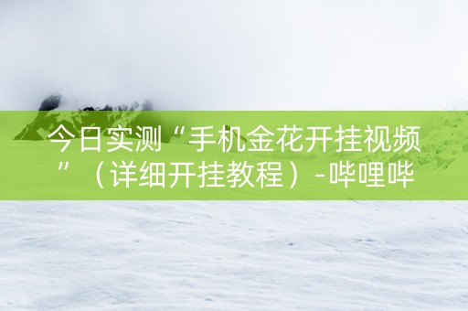 今日实测“手机金花开挂视频”（详细开挂教程）-哔哩哔哩