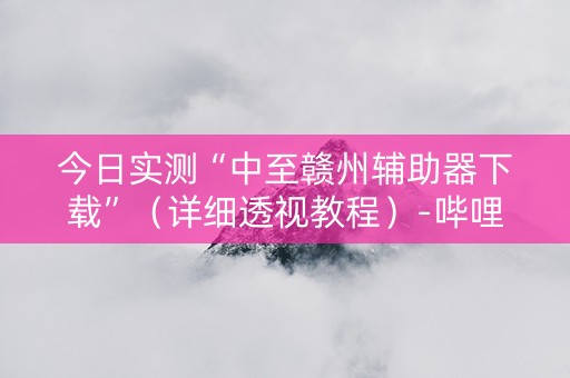 今日实测“中至赣州辅助器下载”（详细透视教程）-哔哩哔哩