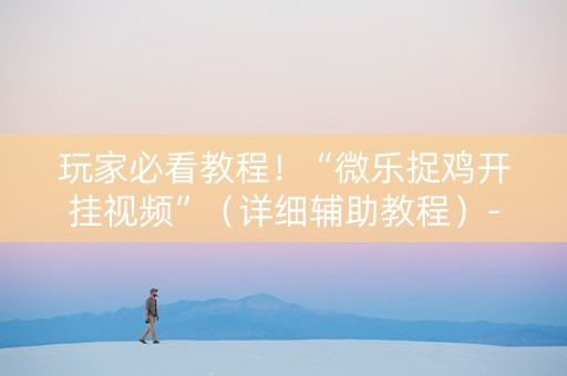 玩家必看教程！“微乐捉鸡开挂视频”（详细辅助教程）-哔哩哔哩