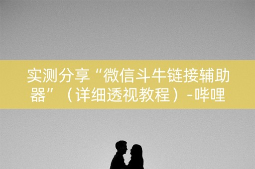 实测分享“微信斗牛链接辅助器”（详细透视教程）-哔哩哔哩