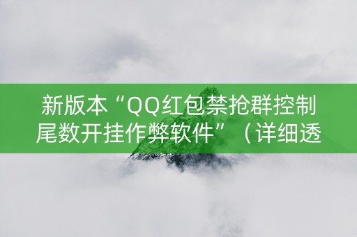 新版本“QQ红包禁抢群控制尾数开挂作弊软件”（详细透视教程）-哔哩哔哩
