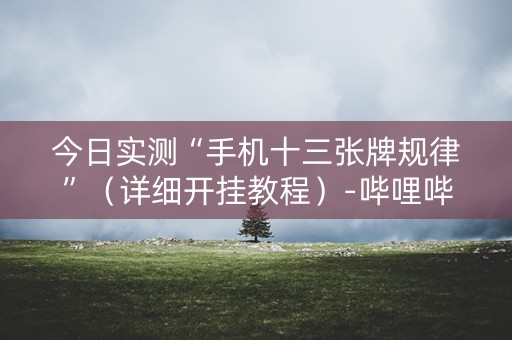 今日实测“手机十三张牌规律”（详细开挂教程）-哔哩哔哩