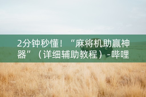 2分钟秒懂！“麻将机助赢神器”（详细辅助教程）-哔哩哔哩