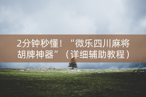 2分钟秒懂！“微乐四川麻将胡牌神器”（详细辅助教程）-哔哩哔哩