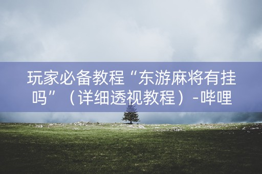 玩家必备教程“东游麻将有挂吗”（详细透视教程）-哔哩哔哩