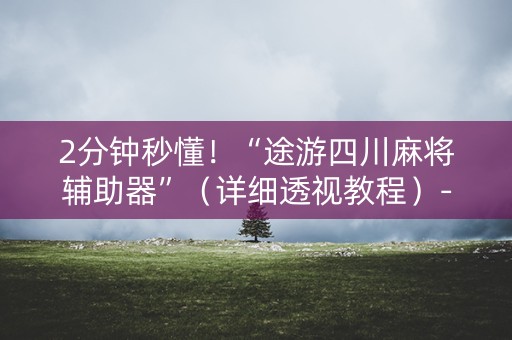2分钟秒懂！“途游四川麻将辅助器”（详细透视教程）-哔哩哔哩
