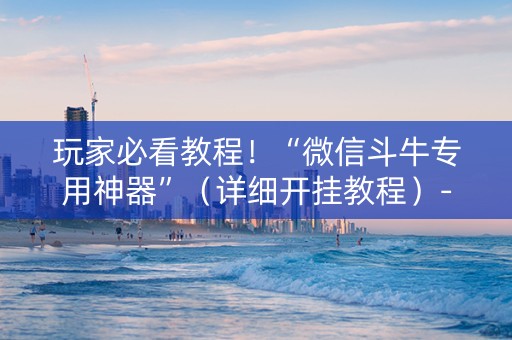 玩家必看教程！“微信斗牛专用神器”（详细开挂教程）-哔哩哔哩