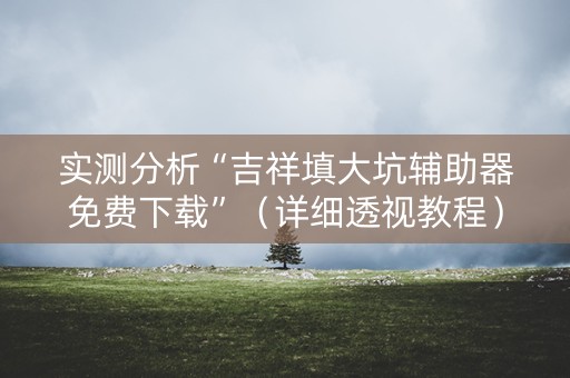 实测分析“吉祥填大坑辅助器免费下载”（详细透视教程）-哔哩哔哩