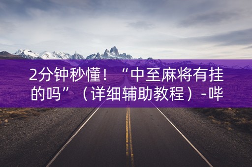 2分钟秒懂！“中至麻将有挂的吗”（详细辅助教程）-哔哩哔哩