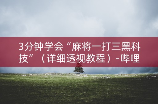 3分钟学会“麻将一打三黑科技”（详细透视教程）-哔哩哔哩