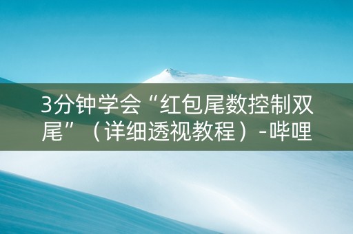 3分钟学会“红包尾数控制双尾”（详细透视教程）-哔哩哔哩