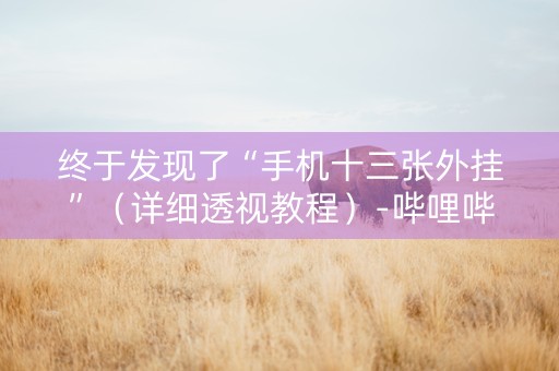 终于发现了“手机十三张外挂”（详细透视教程）-哔哩哔哩