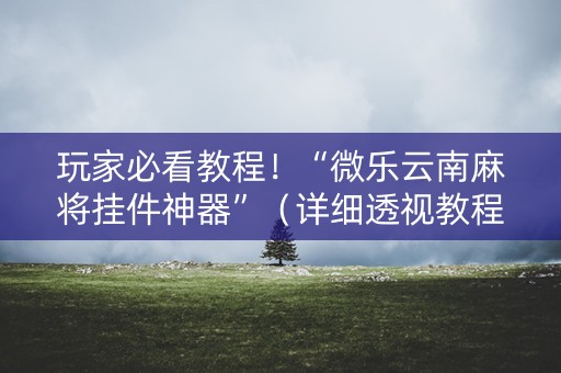 玩家必看教程！“微乐云南麻将挂件神器”（详细透视教程）-哔哩哔哩