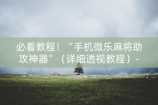 必看教程！“手机微乐麻将助攻神器”（详细透视教程）-哔哩哔哩