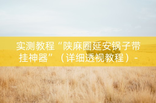 实测教程“陕麻圈延安锅子带挂神器”（详细透视教程）-哔哩哔哩