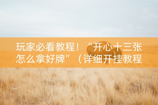 玩家必看教程！“开心十三张怎么拿好牌”（详细开挂教程）-哔哩哔哩