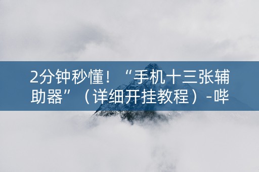 2分钟秒懂！“手机十三张辅助器”（详细开挂教程）-哔哩哔哩