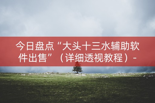 今日盘点“大头十三水辅助软件出售”（详细透视教程）-哔哩哔哩
