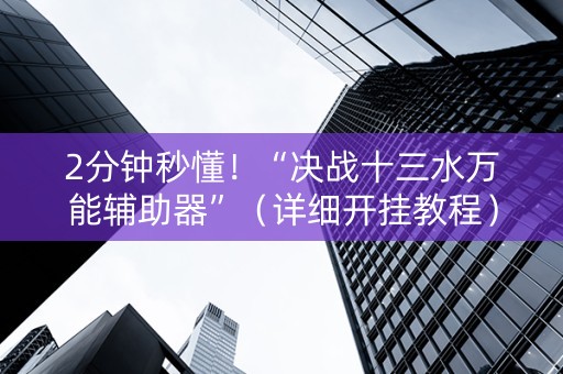 2分钟秒懂！“决战十三水万能辅助器”（详细开挂教程）-哔哩哔哩