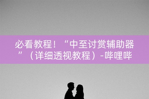 必看教程！“中至讨赏辅助器”（详细透视教程）-哔哩哔哩