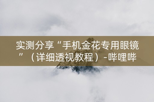 实测分享“手机金花专用眼镜”（详细透视教程）-哔哩哔哩