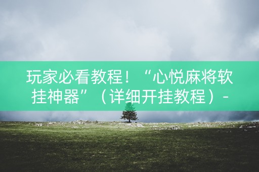 玩家必看教程！“心悦麻将软挂神器”（详细开挂教程）-哔哩哔哩