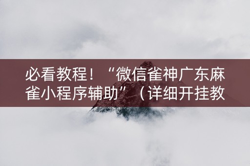 必看教程！“微信雀神广东麻雀小程序辅助”（详细开挂教程）-哔哩哔哩