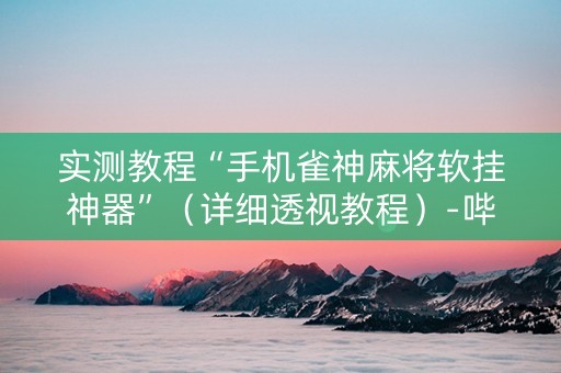 实测教程“手机雀神麻将软挂神器”（详细透视教程）-哔哩哔哩